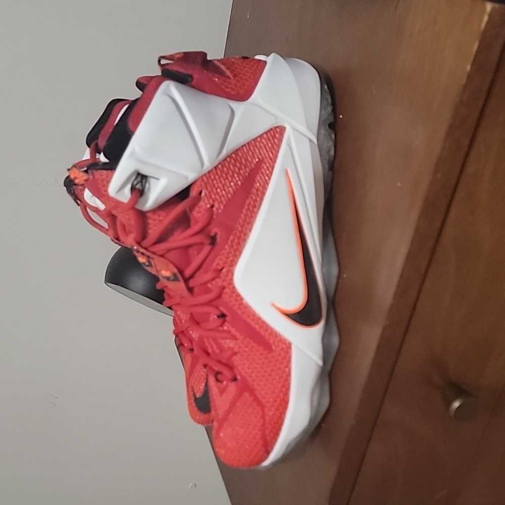 Nike Lebron XII Heart of a Lion size 9.5